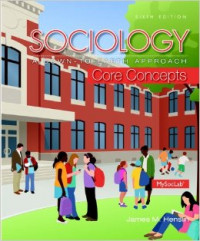 Sociology :a down-to-earth approach : core concepts