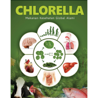 Chlorella: makanan kesehatan global alami