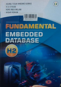 Fundamental embedded database H2
