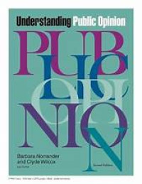 Understanding Public Opinion