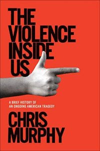 The violence inside :a brief history of an ongoing American tragedy