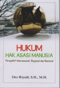 9786024252632_hukum_hak_asasi.jpg.jpg