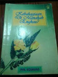 Kebahagiaan-dimanakah-engkau.jpg.jpg