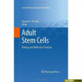 adult_stem_cells.jpg