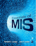 essentials_of_mis.jpg