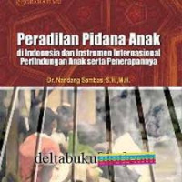 Peradilan pidana anak : di Indonesia dan intrumen Internasional perlindungan anak serta penerapannya