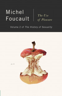 Image of The use of pleasure : volume 2 the history of sexuality