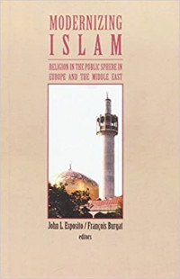 Modernizing Islam : religion in the public sphere in the Middle East and Europe