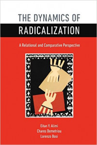 The dinamics of radicalization : a relational and comparative perspective