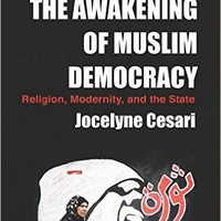 The awakening of muslim democracy : religion, modernity, and the state