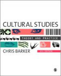 Cultural studies : theory and practice
